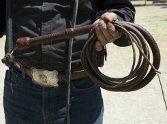 Пастух жестоко отомстил таксисту металлическим кнутом за сбитую корову в Ростовской области