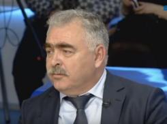 Владимир Сакеллариус: бездомных животных во время ЧМ 2018 не будут убивать