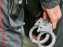 В Ростовской области задержали подозреваемого в убийстве пожилых супругов