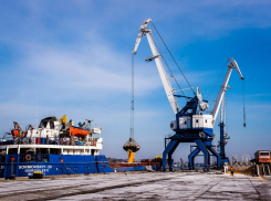 Общественники требуют закрыть Ростовский мультимодальный порт