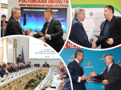 «Недосотня Голубева»: почему приоритетные инвестпроекты в Ростовской области терпят крах