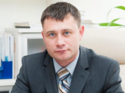 Донские депутаты отправили в отставку общественного представителя в судейской коллегии