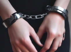 На Дону 16-летнюю жительницу осудили за попытку сбыта наркотиков через «закладки»