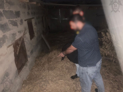 В Ростове осудят четырех похитителей женщины и заказчицу  