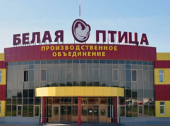 Птицефабрику «Белая Птица Ростов» могут продать уже в этом году