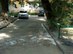 В Ростов-на-Пуху переименовали донскую столицу ошалевшие от цветения тополей горожане