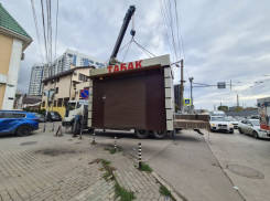 В Ростовской области резко сократилась доля нелегального табака