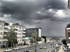 В Ростове ураган свалил десятки деревьев