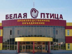 Ставропольский холдинг взял в аренду комплекс «Белая Птица — Ростов»