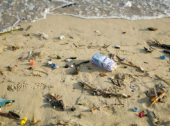 Пляжи Ростова не готовы к летнему сезону