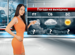 На выходных в Ростове ожидается сильный ветер и дождь