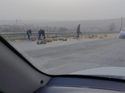 На трассе в Ростовской области замечены сотни мандаринов