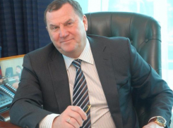 Первым вице-премьером Всероссийской федерации плавания выбрали ростовчанина Игоря Горина