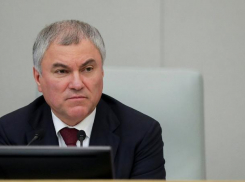 «Не соблюдающие закон мигранты не должны находиться в РФ»: Вячеслав Володин о высылке иностранцев