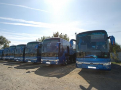 Из Ростова в Платов поедут новые комфортабельные автобусы