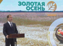 Дмитрий Медведев наградил двух аграриев из Ростовской области 