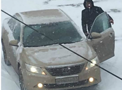 Агрессивный автомобилист расстреливал собак на глазах у ошарашенных прохожих в Ростове