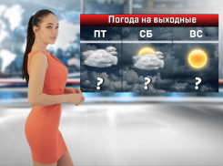 На выходных в Ростовской области ожидаются дожди и сильный ветер