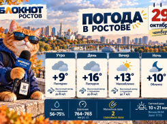 Пасмурный день с сильным ветром и до +16 градусов ожидается в Ростове 29 октября