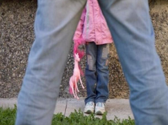 Изнасилованиями 12-летней соседки испортил свою судьбу мужчина из Батайска