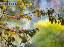 Резкое похолодание и переменная облачность ожидаются в Ростове