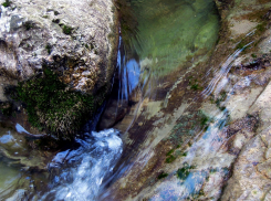 В Ростове два новых родника внесли в водный реестр