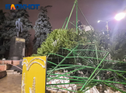 В Ростове-на-Дону главную городскую ель соберут около парка Горького к 10 декабря