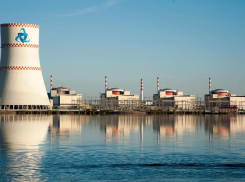 Движение земной коры под Ростовской АЭС проверят за 42 млн рублей