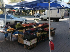 В Ростове составили более 2 тысяч протоколов из-за нелегальной торговли