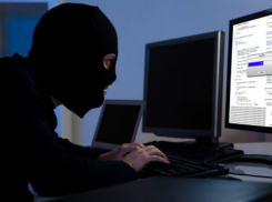 Ростовчан предупредили о новом способе мошенничества в Сети