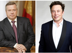 Василий Голубев предложил Илону Маску вложить деньги в Ростовскую область