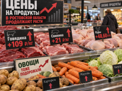 Мясо и овощи подорожали за год в Ростовской области