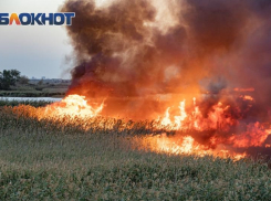 Вильфанд прокомментировал высокую пожароопасность в Ростовской области