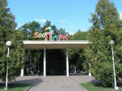 В день защиты детей вход в ростовский зоопарк будет бесплатным