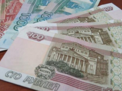 Штраф за несанкционированную торговлю у дорог может вырасти 50 тысяч рублей