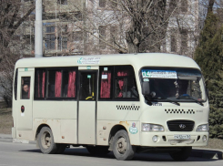 Маршрутки раскололи ростовчан на два противоборствующих лагеря 