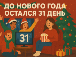 Обратный отсчёт: до Нового года остался 31 день