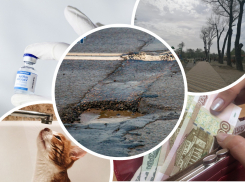 Главные проблемы Ростовской области озвучили в центре управления регионом