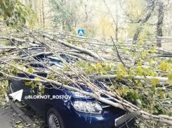 В Ростове объявили штормовое предупреждение из-за ливня