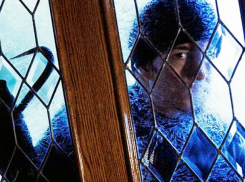 Перешедший на темную сторону «человек-паук» обворовал несколько квартир в Ростове