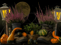 Луна спасает урожай: календарь для садоводов и огородников на ближайшие выходные