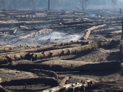Лесной пожар в Каменском районе Ростовской области локализован на площади в 54 га