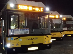 Обновленный состав автобусов на маршрутах №94 и 96 начнет перевозить ростовчан с 21 октября