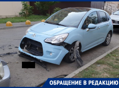 Стая бездомных собак в Ростове в клочья разорвала иномарку