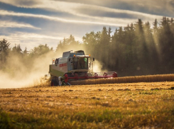 В Ростовской области потратят более 5 млрд рублей на развитие АПК