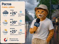 Ростов накроют дожди и жара до +30 