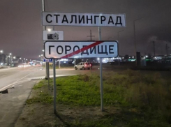 В Ростове-на-Дону обратились к Путину с просьбой переименовать Волгоград в Сталинград