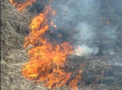 20 гектаров травы  горит в Ростовской области