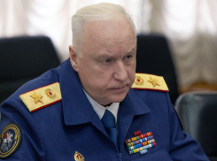 Бастрыкин взял под контроль проверку по делу о незаконном захвате пляжа под Ростовом