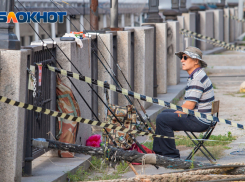 Ростовстат рассекретил хобби мужчин из Ростовской области